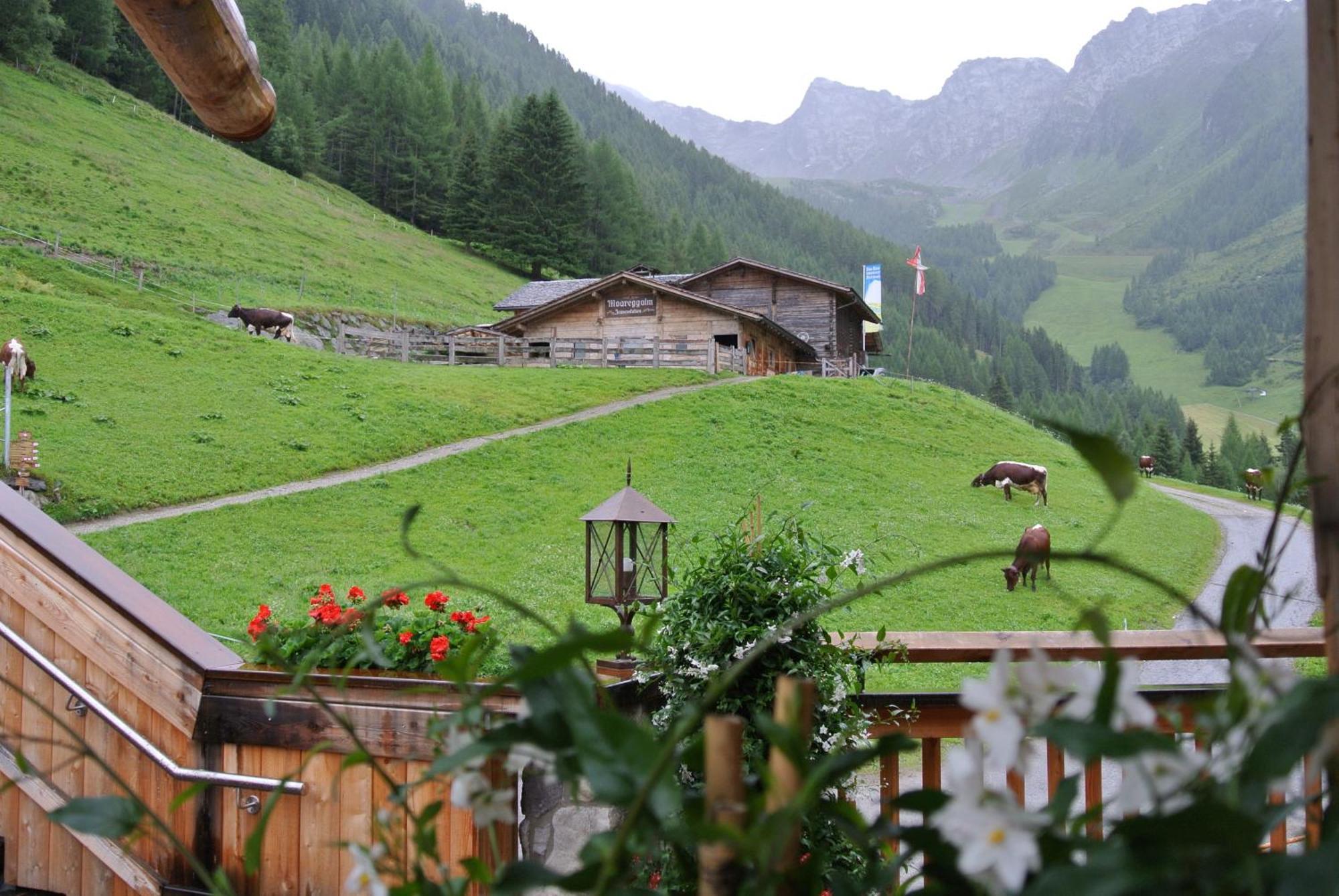 Gourmet Alpinhotel Sonnleiten Cadipietra Esterno foto